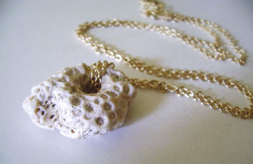 Found Coral Specimen